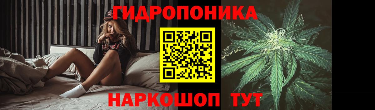 Муравленко  МАРИХУАНА планчик  Вход с VPN  Бошки марихуана Bruce Banner 